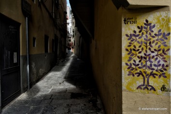 16945985939_045e5d1fd2_k