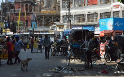 Varanasi: la città sacra – 26 luglio 2015